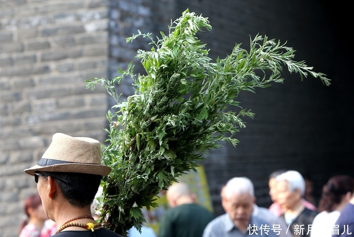 艾草|端午挂艾草顺着还是倒着挂好？干枯的艾草咋处理？别犯“忌”