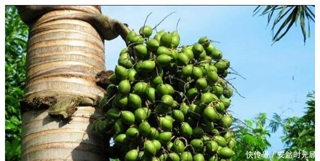 它被世衛(wèi)列為“一級(jí)致癌物”,不少人拿它當(dāng)零食吃,趕緊住嘴