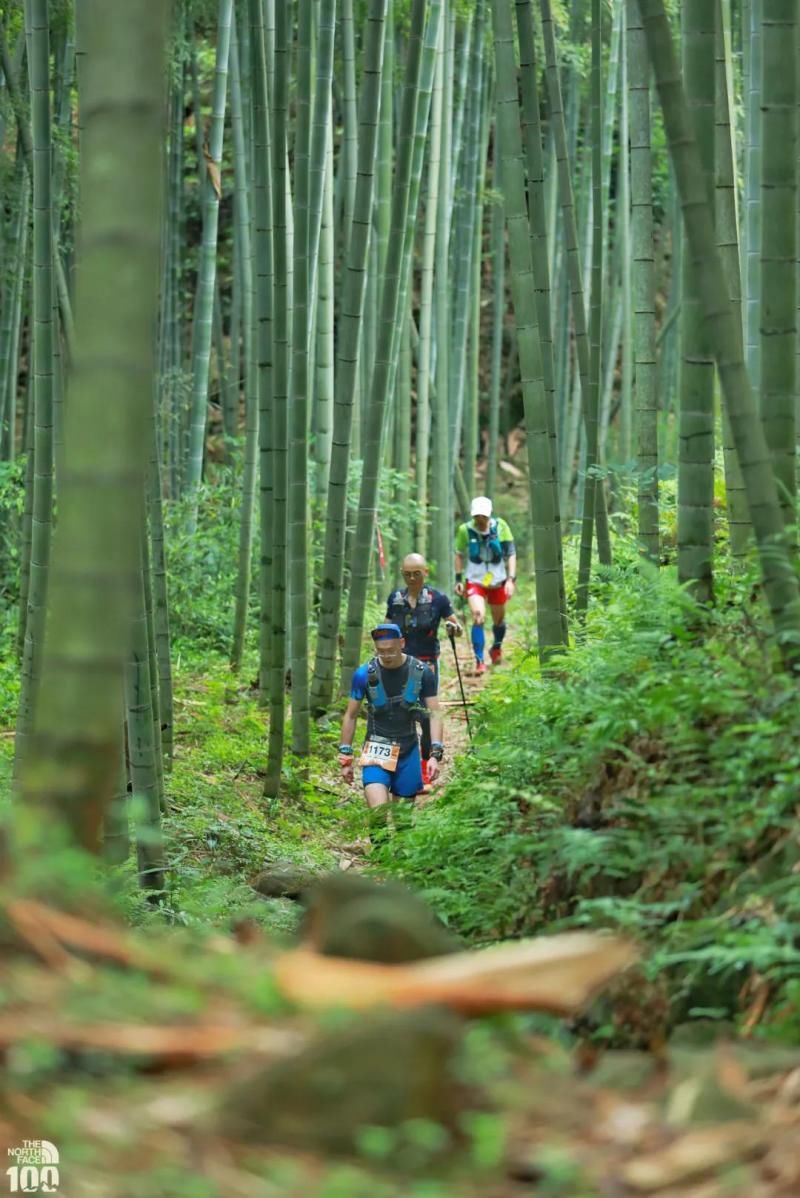 山野|什么是越野跑？