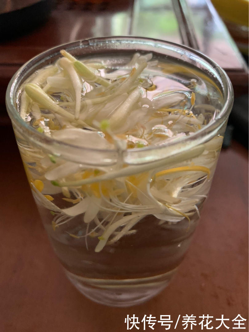 一扦插就活,还能用来泡茶喝,这花种了就是赚了