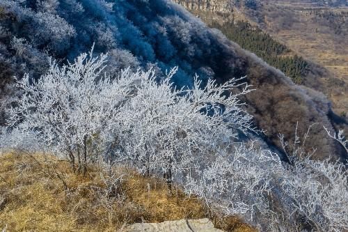老年|大年初四济南南部山区自驾游，在彩西路旁的劈山邂逅雾凇奇观