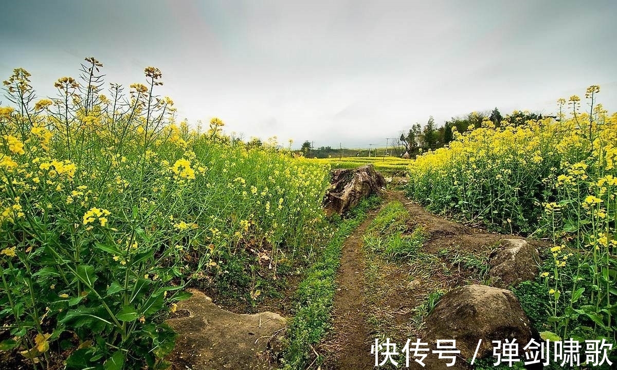 精品$刘禹锡10大名诗排行榜,《乌衣巷》未进前三,前三都是哪些精品?