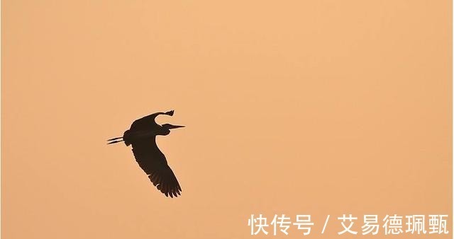 口诀@鬼谷子智谈:别做软弱的老实人,牢记5句口诀,改掉优柔寡断