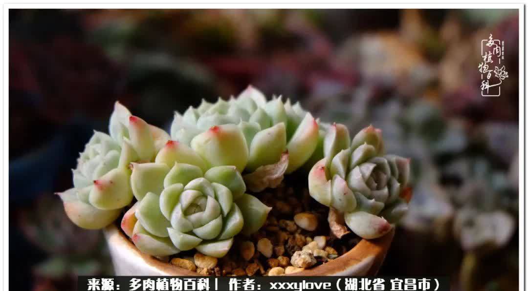 时光匆匆,一闪而逝,这世间万物的美,都值得被记录!