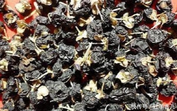 黑枸杞|农村罕见的野果，滋补肾脏不是一般的好，村民：不吃太亏了