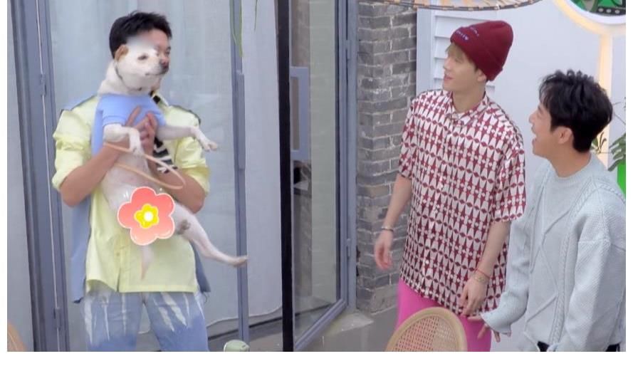 長歌行|吳磊帶愛寵上《拜冰7》，狗險露私處，王嘉爾的這個小動作太暖了