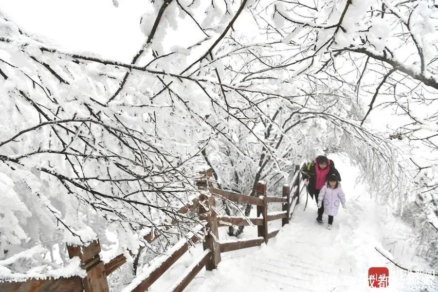 世界|这里是光雾山，是如画的冰雪世界