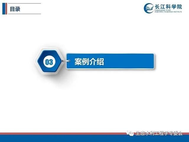 河流|「专家视角」许继军：河流生态修复理念、技术与实践
