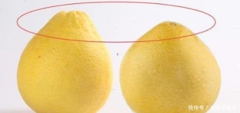 柚子该买圆的还是尖的?一位果农说漏了嘴,看完很容易买到甜柚子