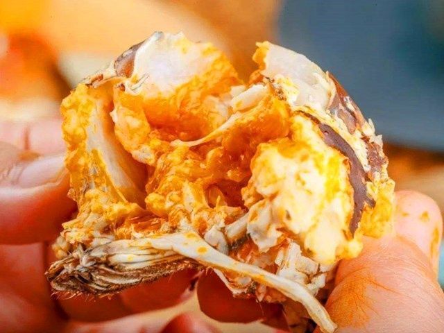 腥味|蒸螃蟹，用冷水还是用热水？蒸几分钟合适？大厨教你做，膏满蟹黄