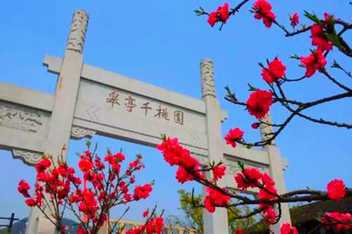 中年|杭州踏青的好去处，自古以来就是赏桃花胜地，可免费参观
