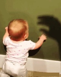 |搞笑GIF:姑娘长点心吧 对面住的可都是单身汉啊