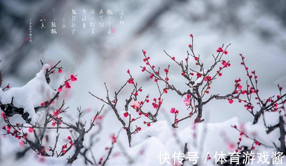 刘禹锡$试玉要烧三日满:十二首经典哲理诗,教会我们正确地为人处世