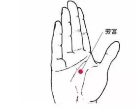 半夏|专治胃病的千年古方，胃酸、胃胀、胃痛，一网打尽