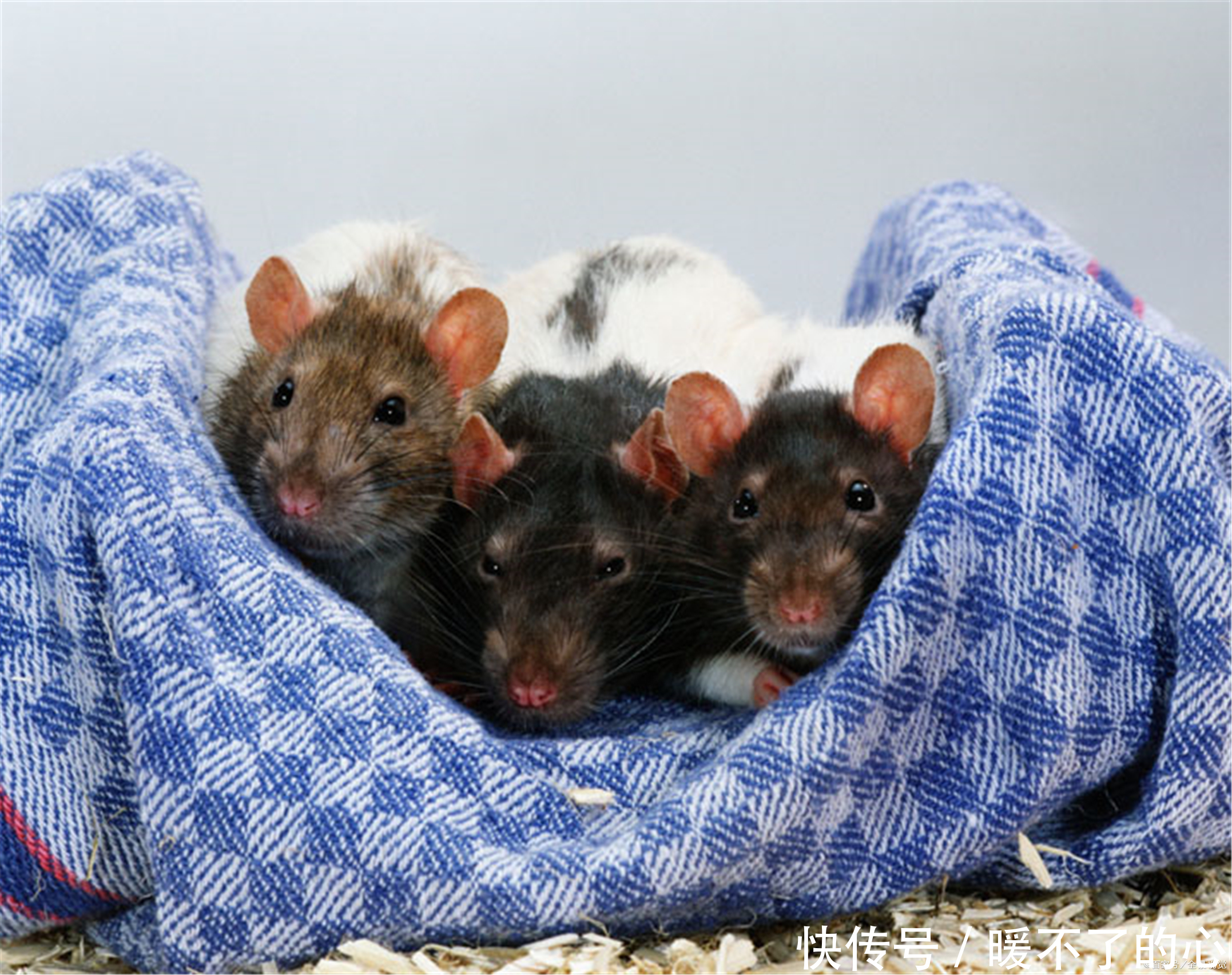 睡眠时间|睡眠专家告诉你—睡得好,醒得好的秘诀