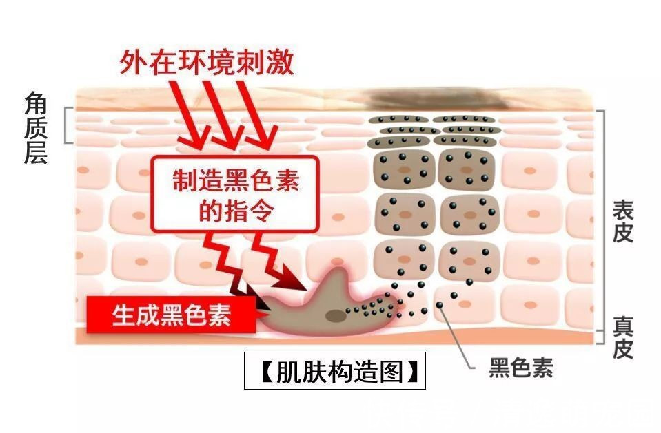 防晒|女人涂防晒霜要牢记3个“不要”,不然涂了也白涂!很多人忽视了