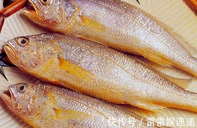 鳕鱼|宝宝吃鱼会变聪明,但吃法有讲究,这4种鱼被列入黑名单,慎吃