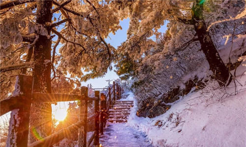 老君山|美炸了! 仿若天上宫阙, 雪后老君山雾凇云海, 琼楼玉宇美成仙境