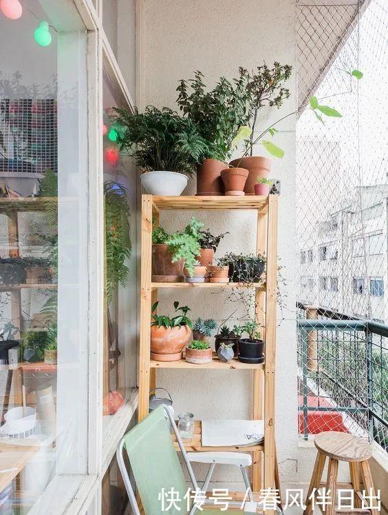 过上悠哉的小日子,不一定非要院子,有个阳台,一样可以养花种菜