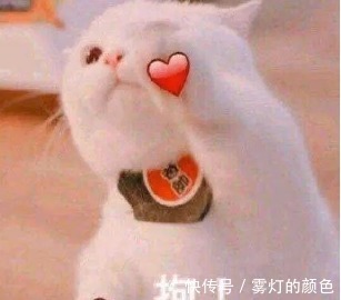 护肤品 央视都提议这5款护肤品可以囤到老!人到中年都能保持白皙细腻!