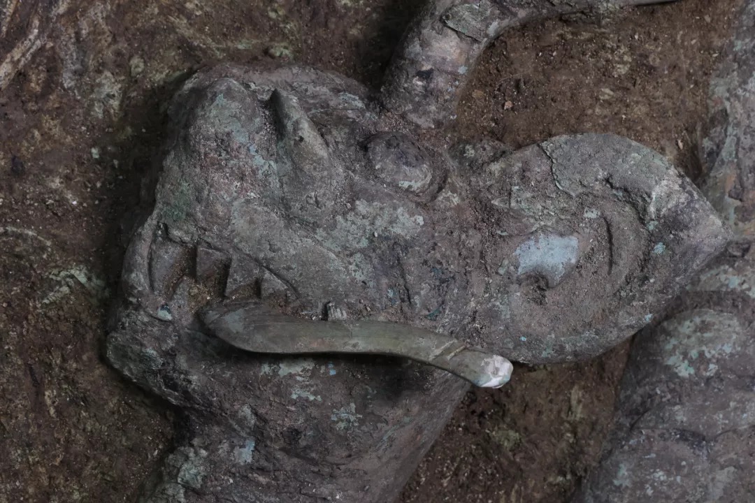 新发现|前所未见!这里有新发现!