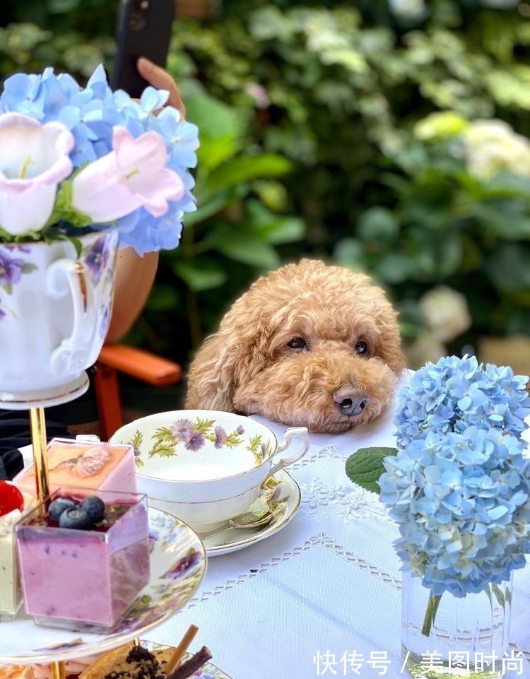庭院改造:50㎡的下沉式庭院造花园,有地我也建一个,太好看了!