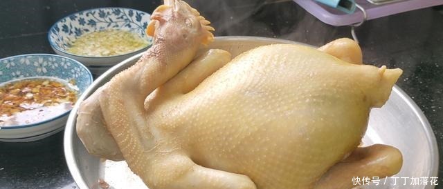 年夜饭鸡肉怎样吃教你广式白切鸡正确做法,配2种蘸料爽滑味美
