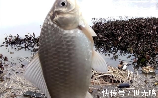 冬天|浅谈冬天大温差天气垂钓，留意规律，好鱼获不难