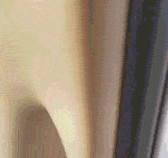 |搞笑GIF:大姐,不要不好意思,你也到了该找对象的年龄了