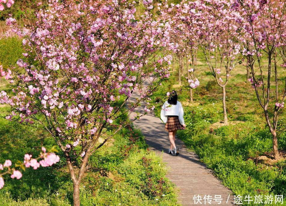 桐庐天子地，集樱花林、溶洞、湖泊峡谷的小众目的地，人少景美