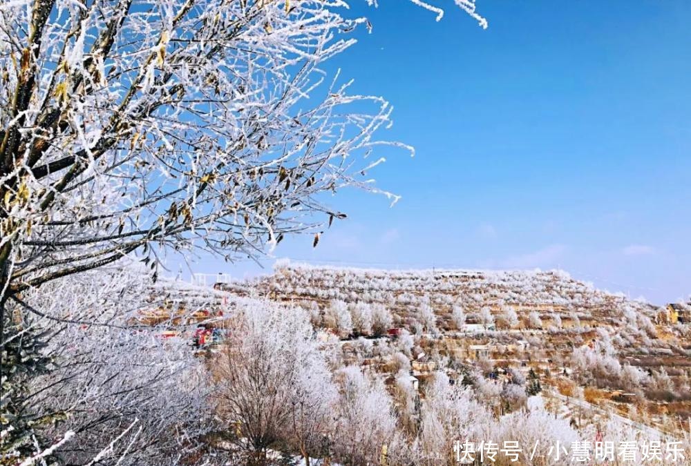 滑雪|冬天千万别来固原玩！滑雪、赏凇、农家乐让人忙不停