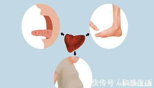 不良习惯|脾一虚,人废一半脾虚湿气重教你调理方法,轻松补脾赶跑湿气