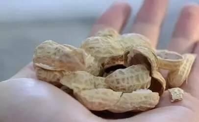 血压|要想稳住血压和血脂,每天记得吃点它,因为便宜,很多人都忽略了