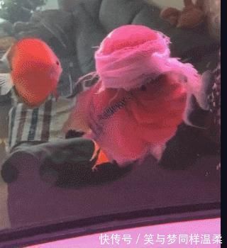 |笑话第一次去男友家,阿姨说能不能先叫我一声妈,我等不急了