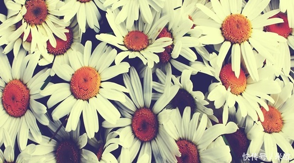 除冰箱异味的五法宝!除冰箱异味的五法宝!