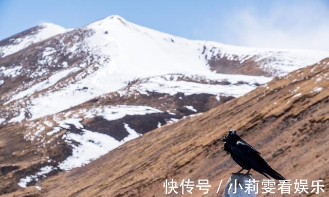 林芝|在海拔5013米的米拉山口卖玫瑰花是种什么样的体验