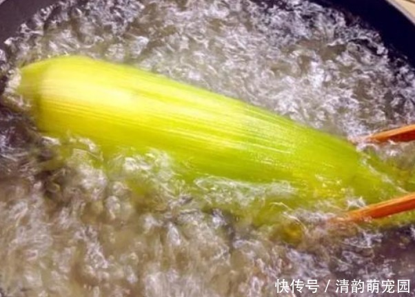 煮玉米,冷水下锅还是热水下锅这步做错,玉米又老又硬