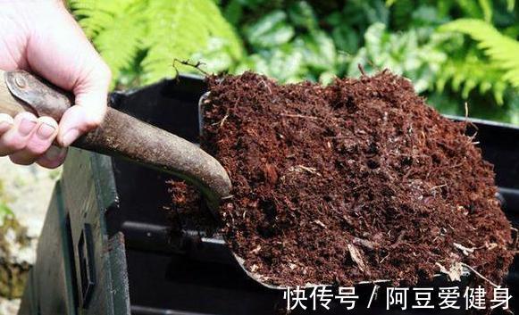 养花|养花不用买肥料,4种''生活垃圾''一处理,盆栽开花又大又漂亮