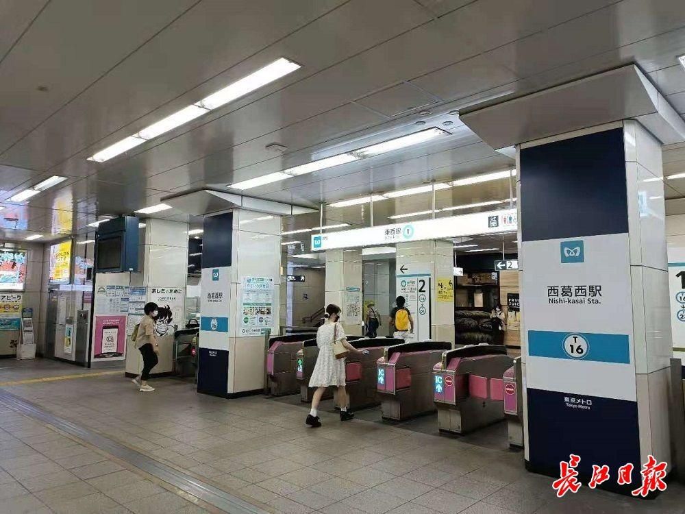 记者手记 福原爱会带火奥运乒乓球比赛 全网搜