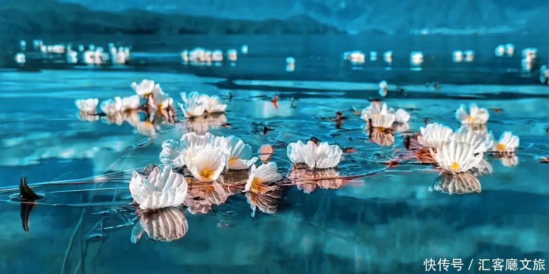 泸沽湖|这个“水性杨花”的地方，又美又好吃，每年有100万人抢着去
