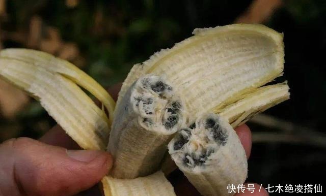 变黑|吃了30年香蕉才知道,原来保存香蕉这么简单,放一礼拜都不会变黑