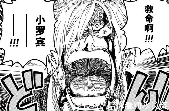 凱多|海賊王1020話，大和惡魔果實為幻獸種大口真神，其實就是本狼