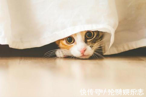 |搞笑幽默我老婆出差回来,喊道你怎么把别的女人带回家里来