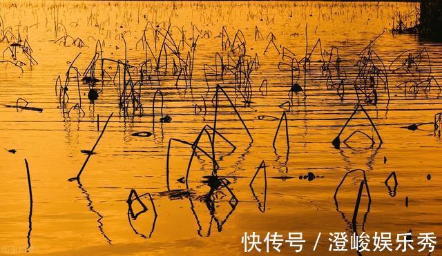 鱼塘|一条鱼没钓到,钓友被打出熊猫眼,围观者说:活该