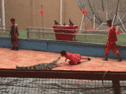 |搞笑GIF:美女,你这么调皮真的好吗?