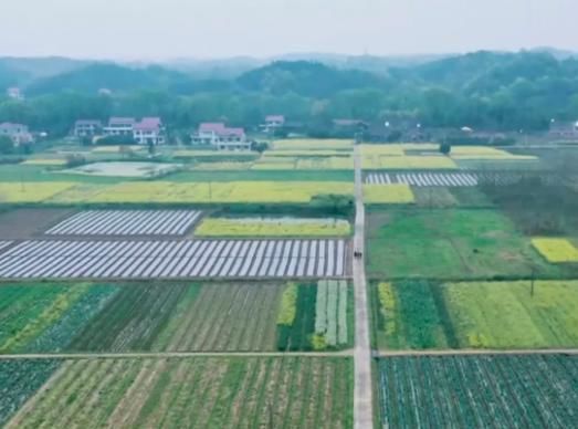 向往的生活|收視率第一,《向往的生活》的“清醒”打臉了多少真人秀綜藝!