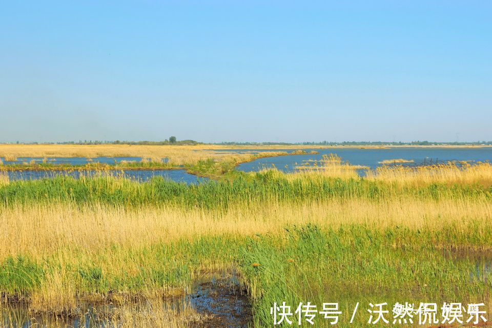 湖泊|新疆最神奇的湖泊，深藏在沙漠中，游客湖水从哪里来