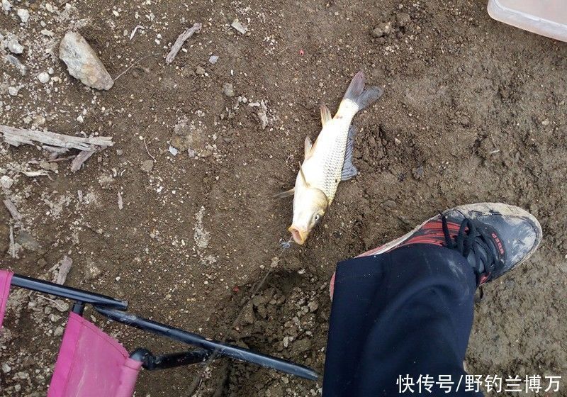 一次意外，让我不再独自外出钓鱼！过来人告诫：钓鱼得先保证安全