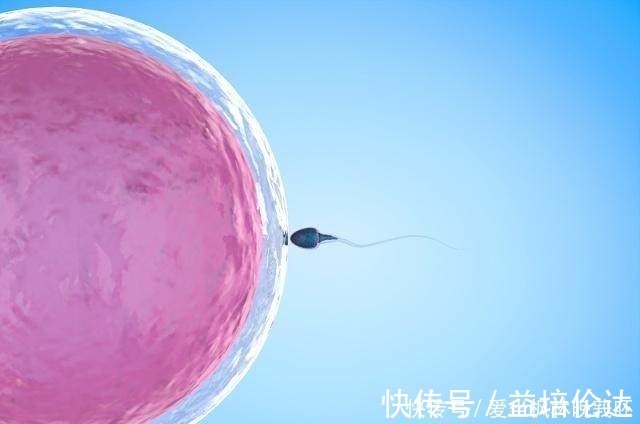 高龄产妇|不管生一胎还是二胎,怀孕尽量避开这两个年龄段!你中招了吗!