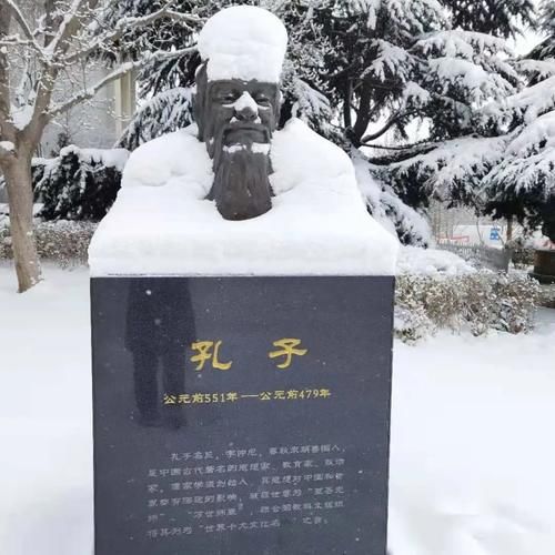 唯有雪花真绝色，飘落时节动师大